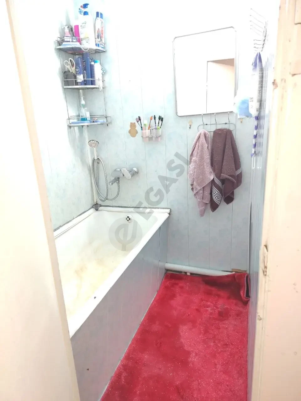 Image 8