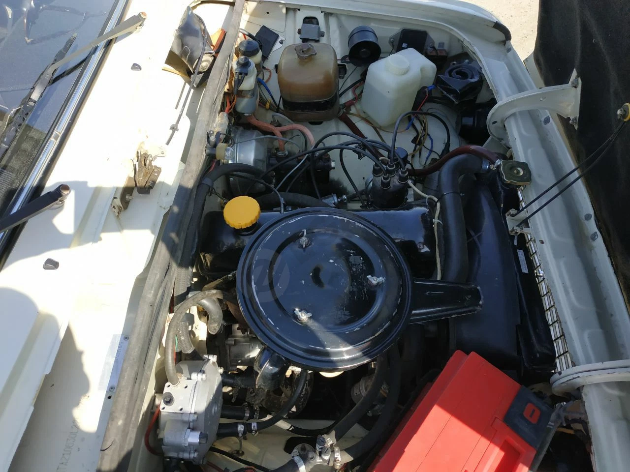 Image 6