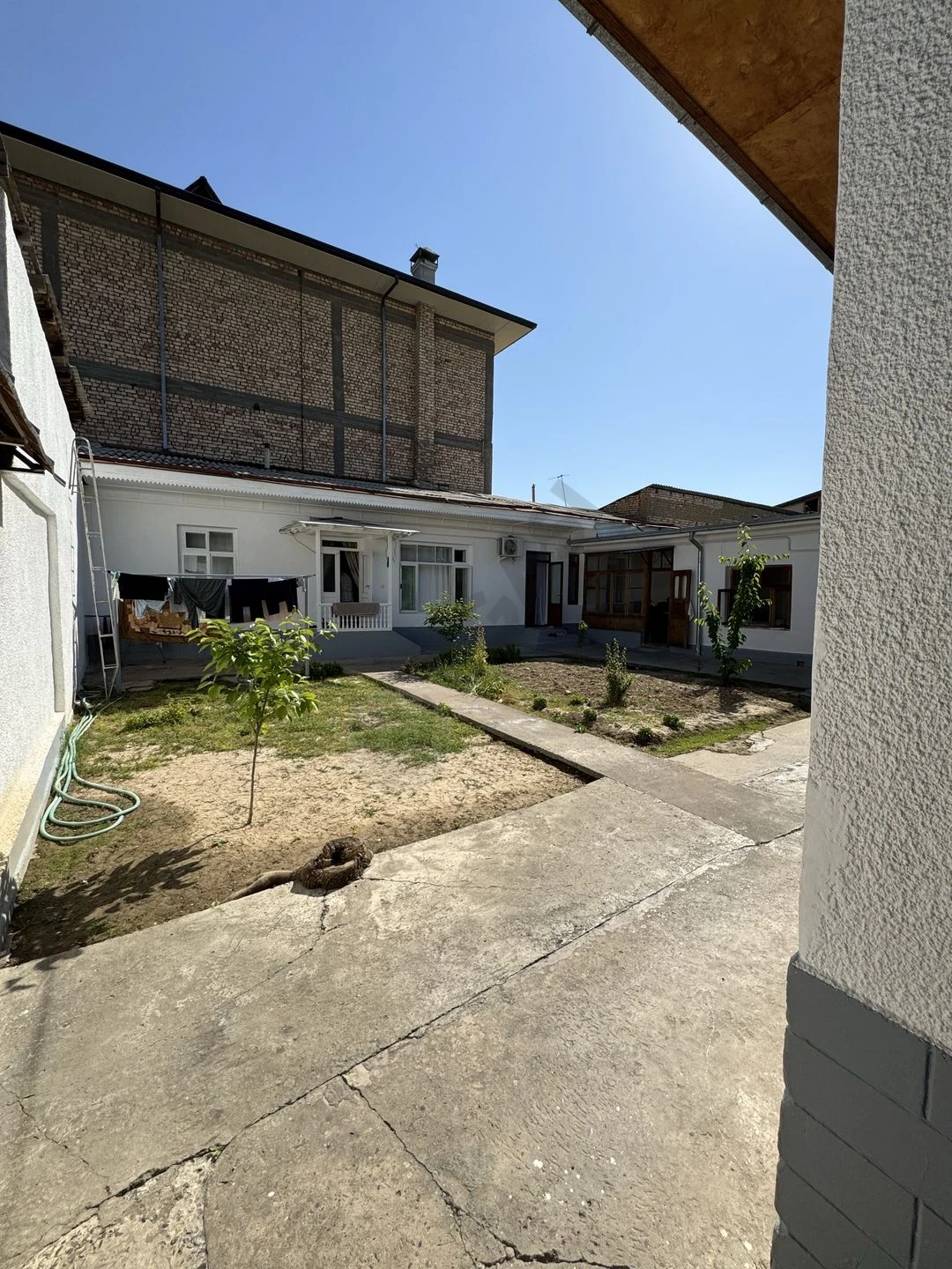 Image 8