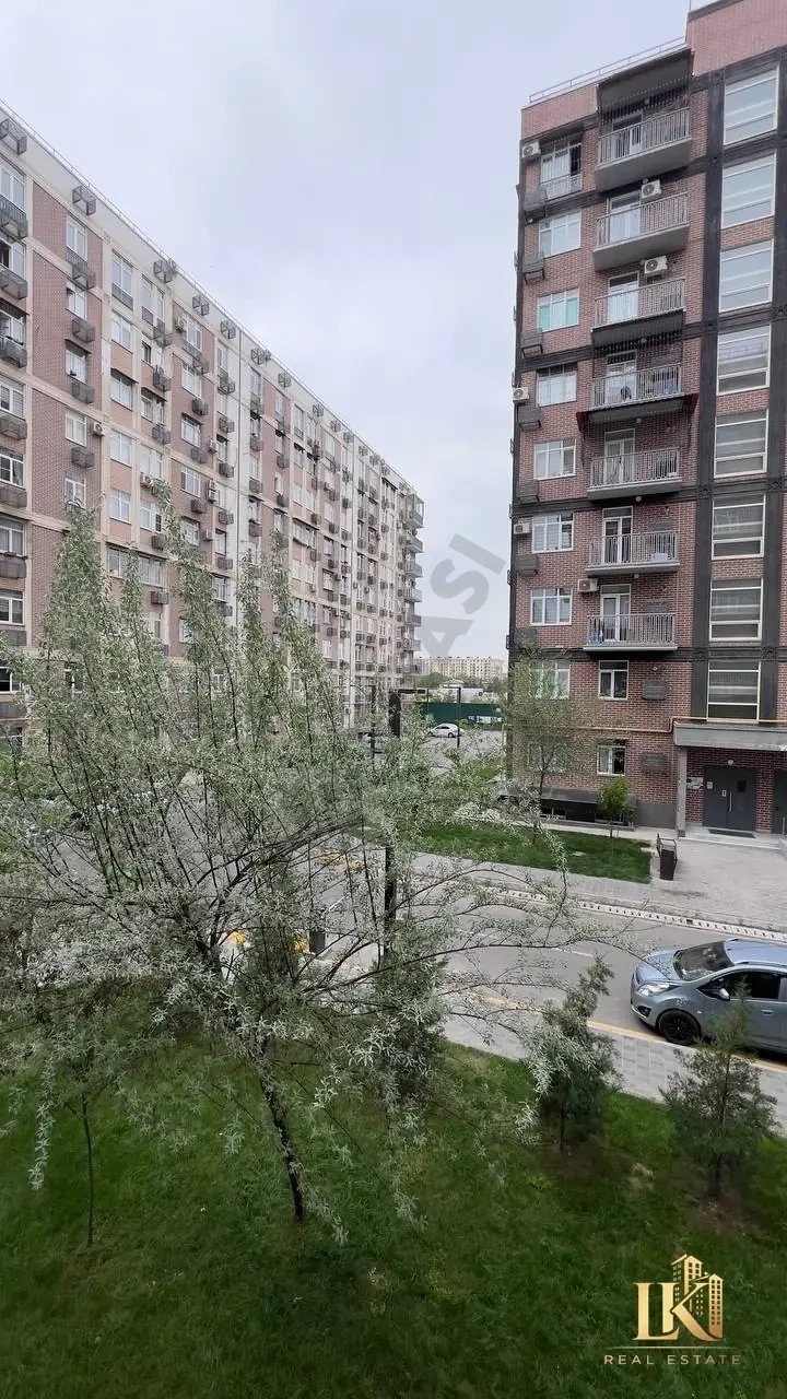 Image 9