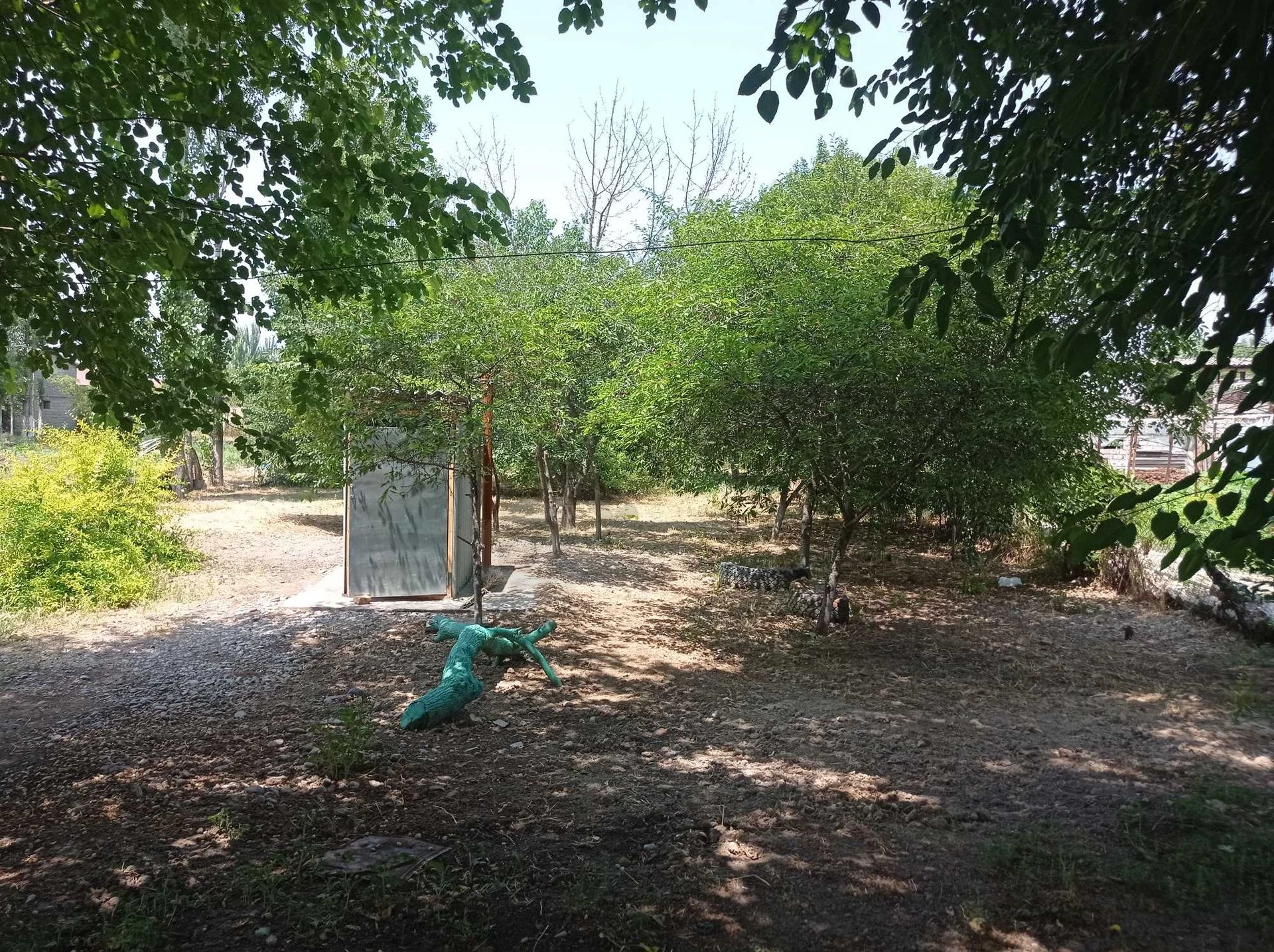 Image 7