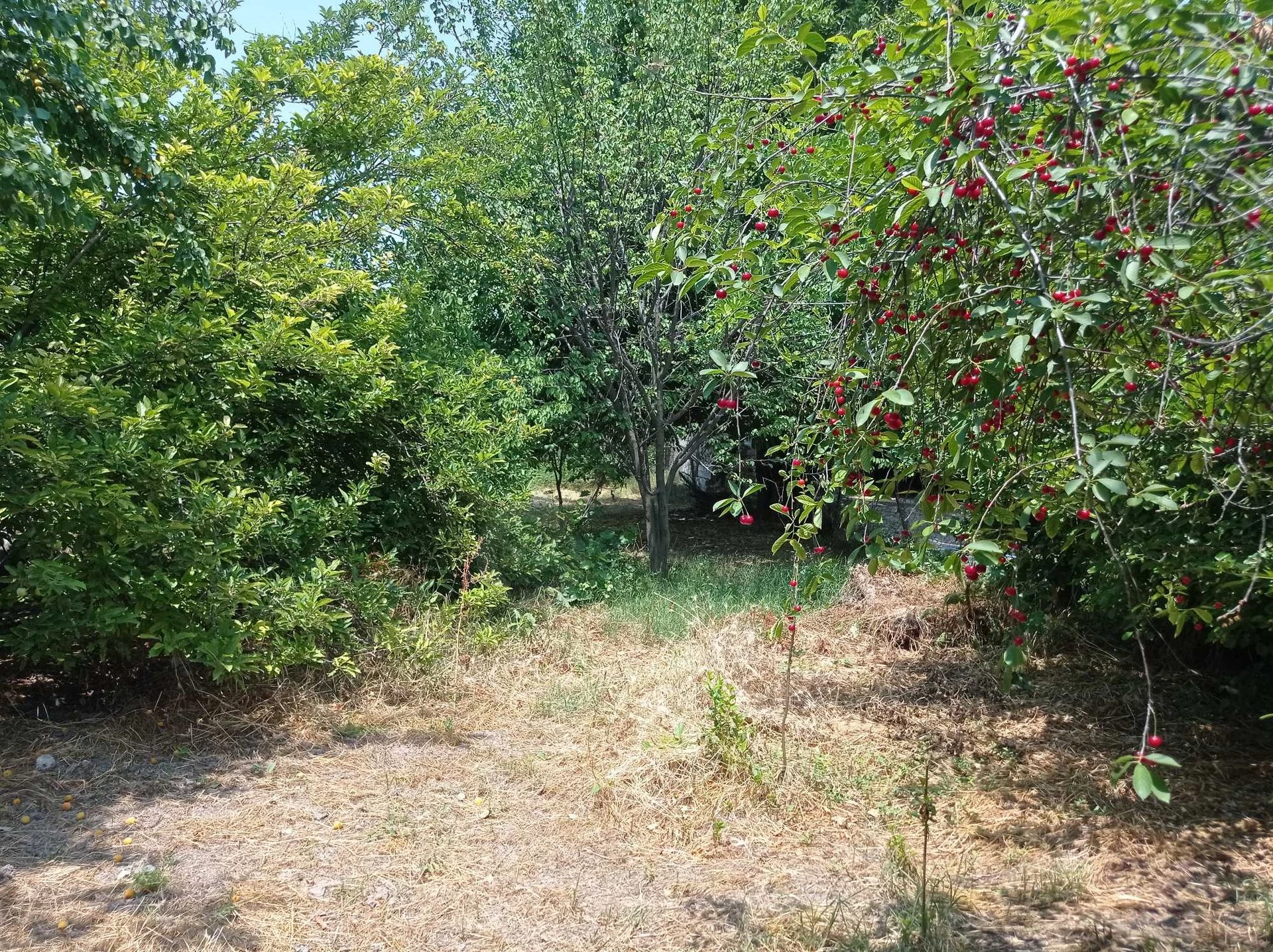 Image 10