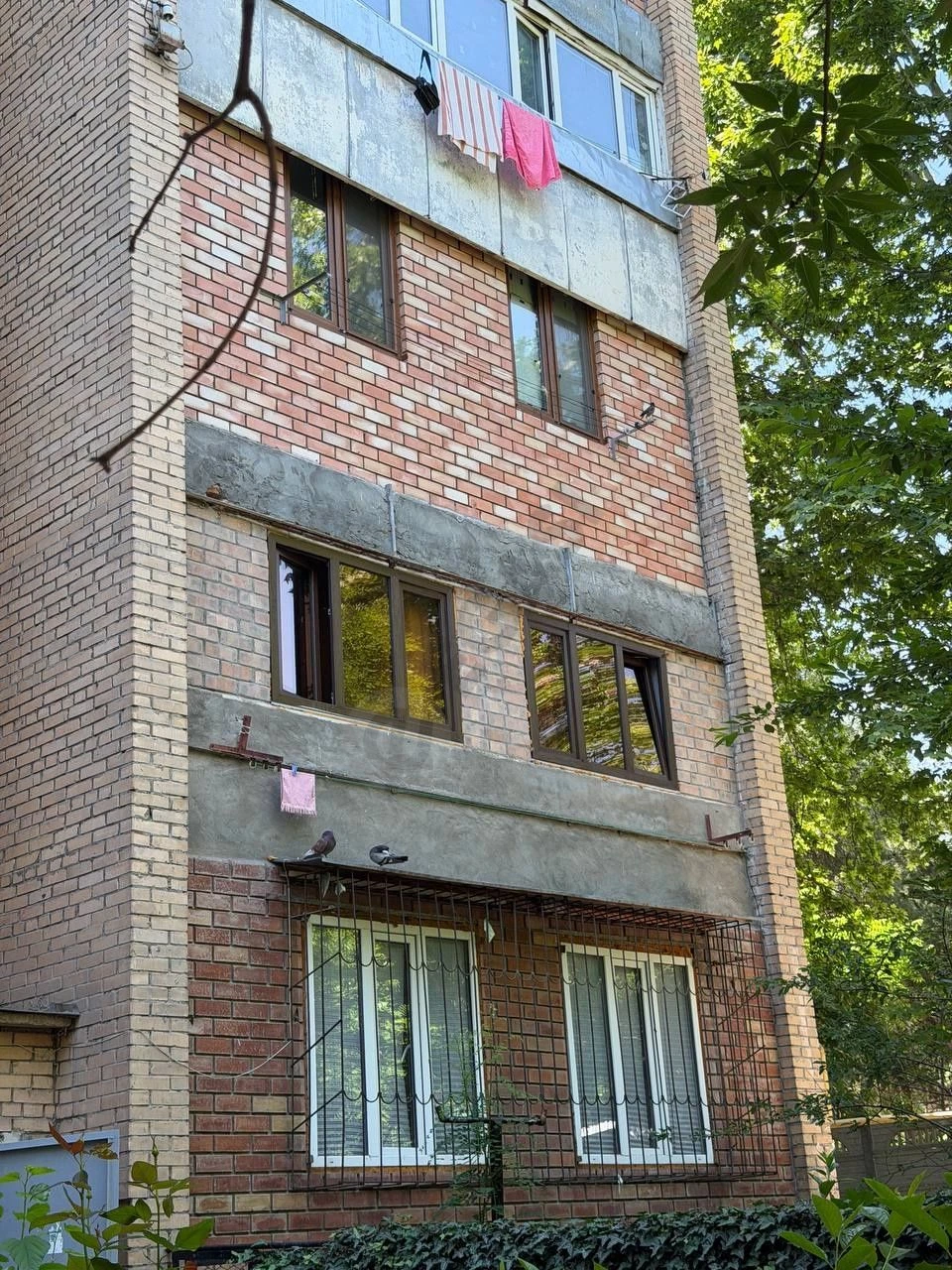 1-комнатная чиланзар-26 балкон 2,20×6 Ориентир: Ширин - Cover Photo