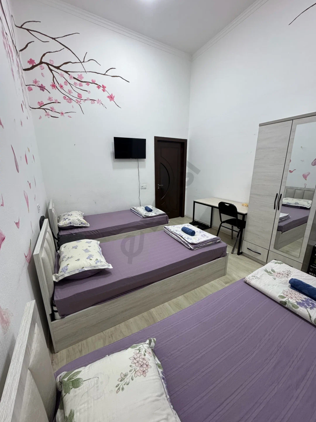 Sergeli Hostel - Cover Photo