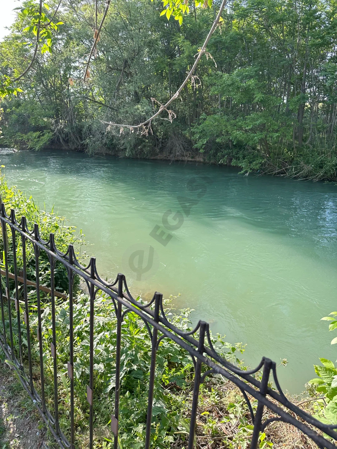 Image 10