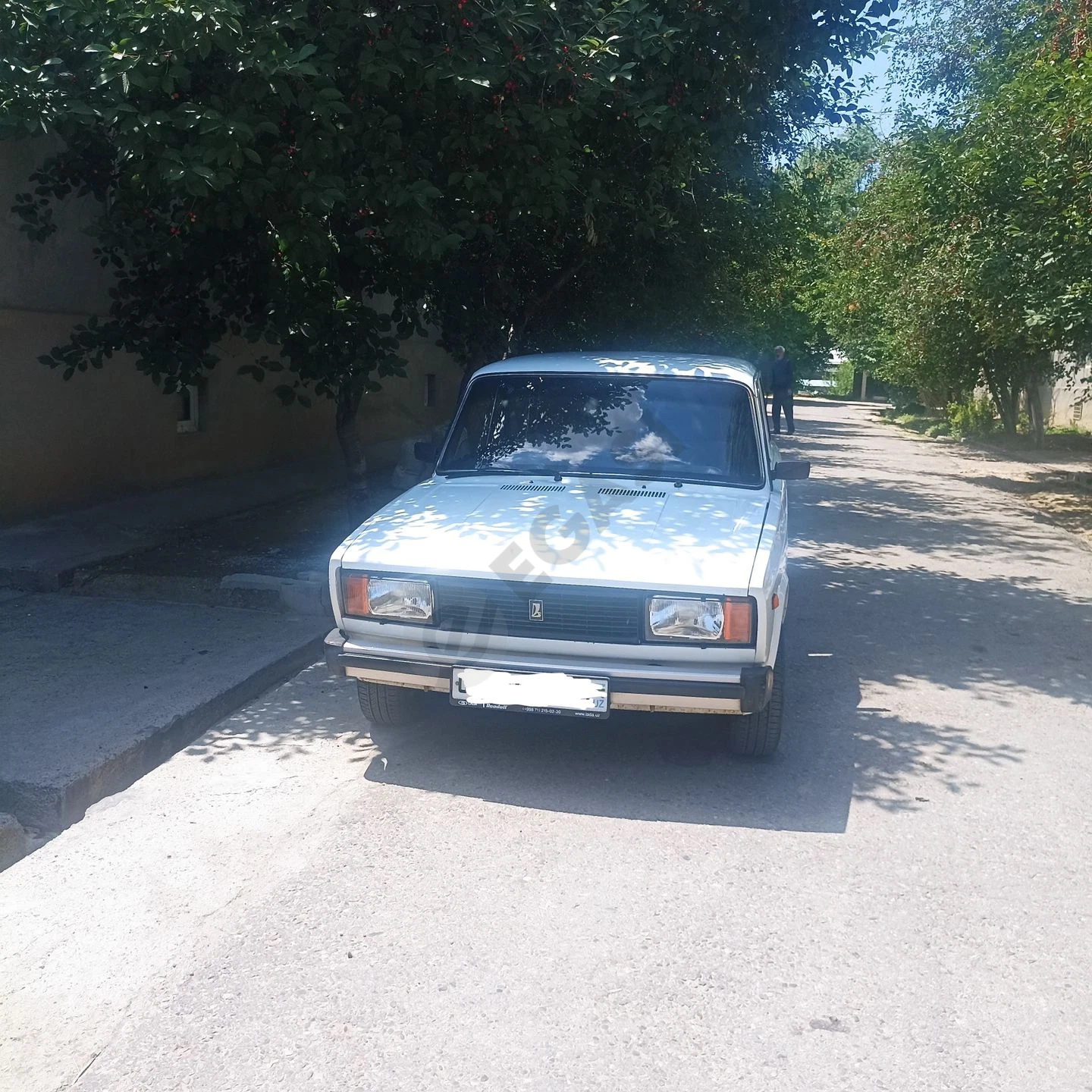Image 2