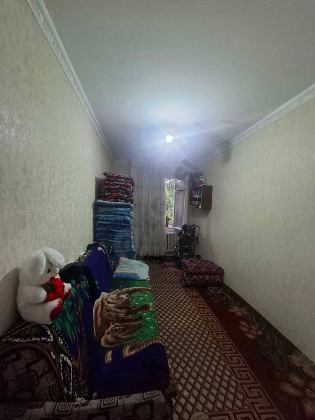 Image 7