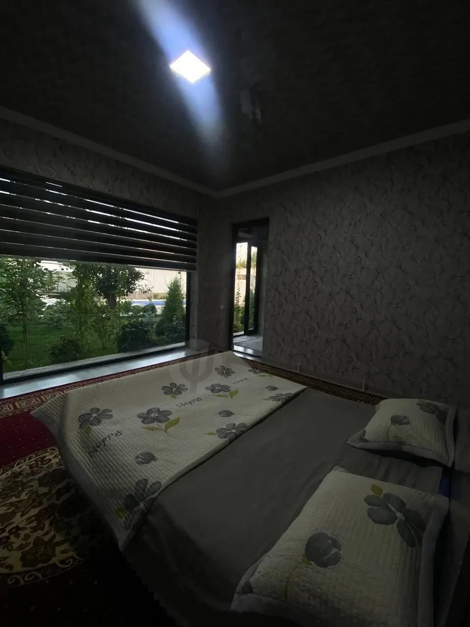 Image 6