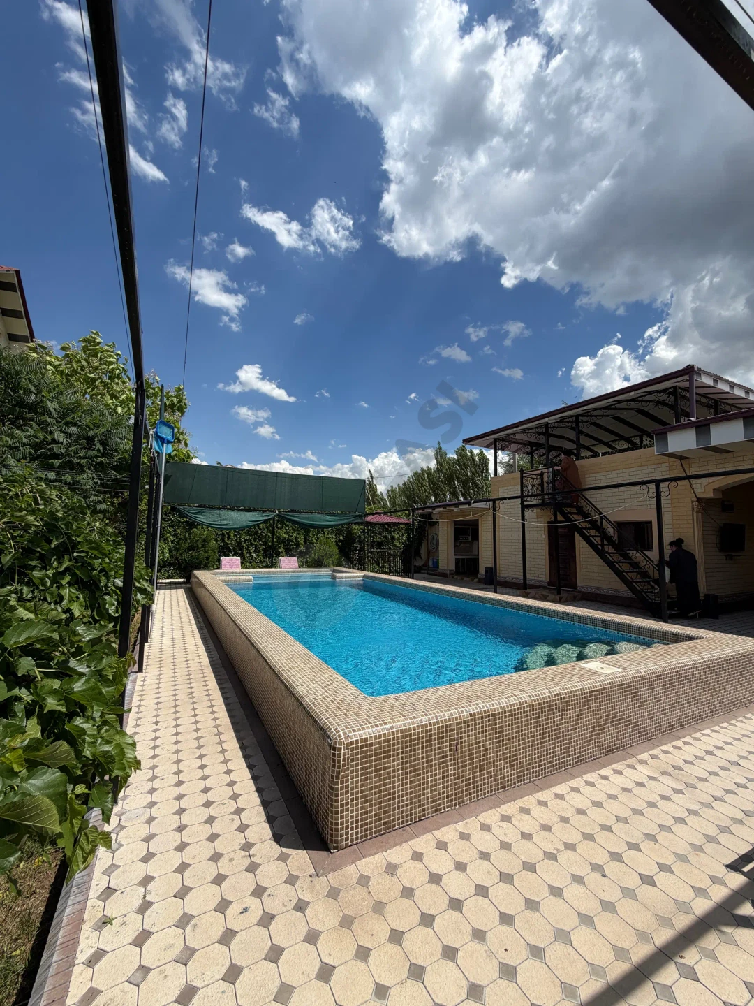 Toza police dacha - Cover Photo