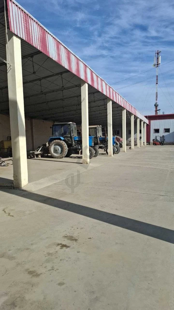 Image 6