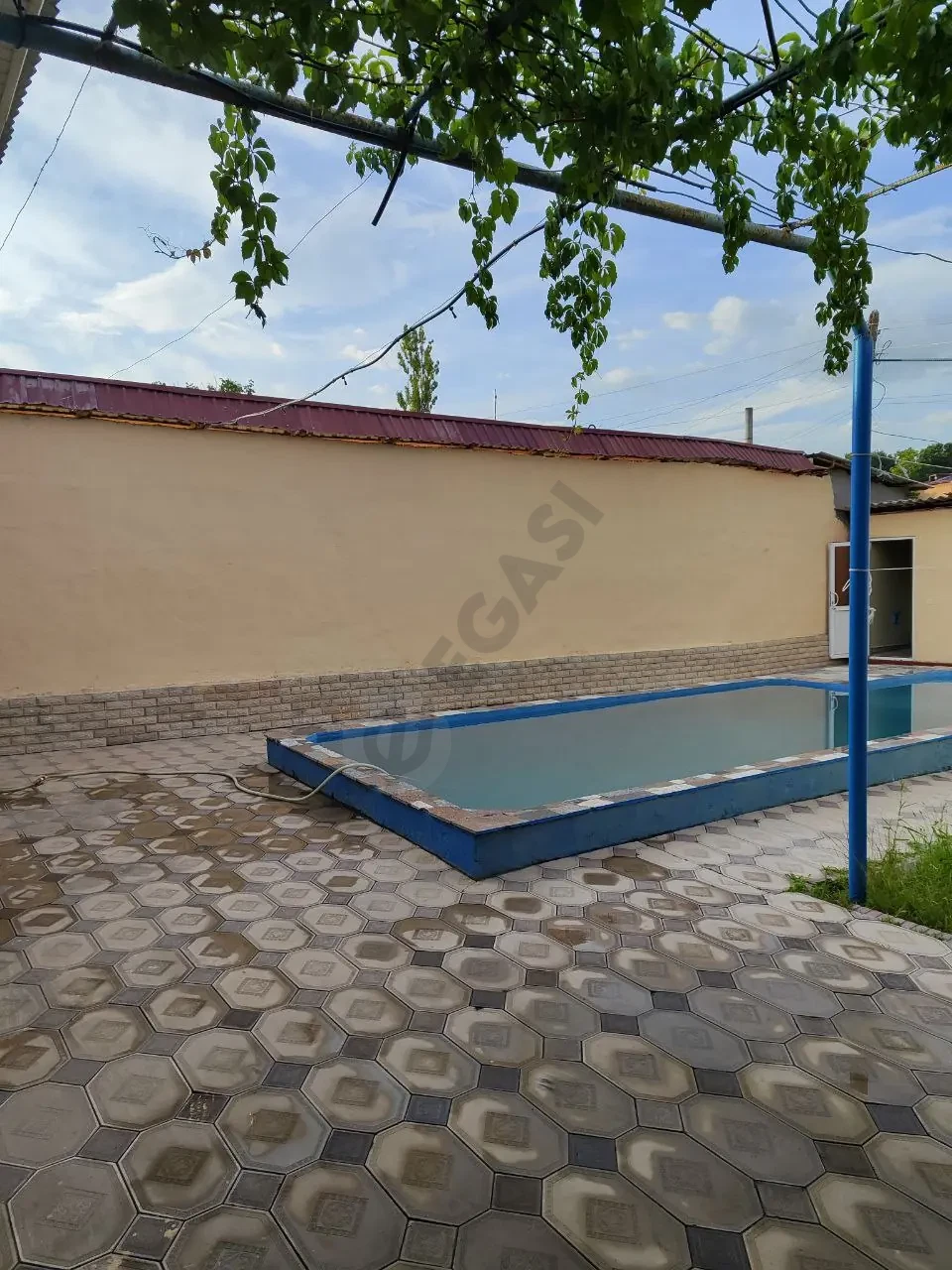 Image 5