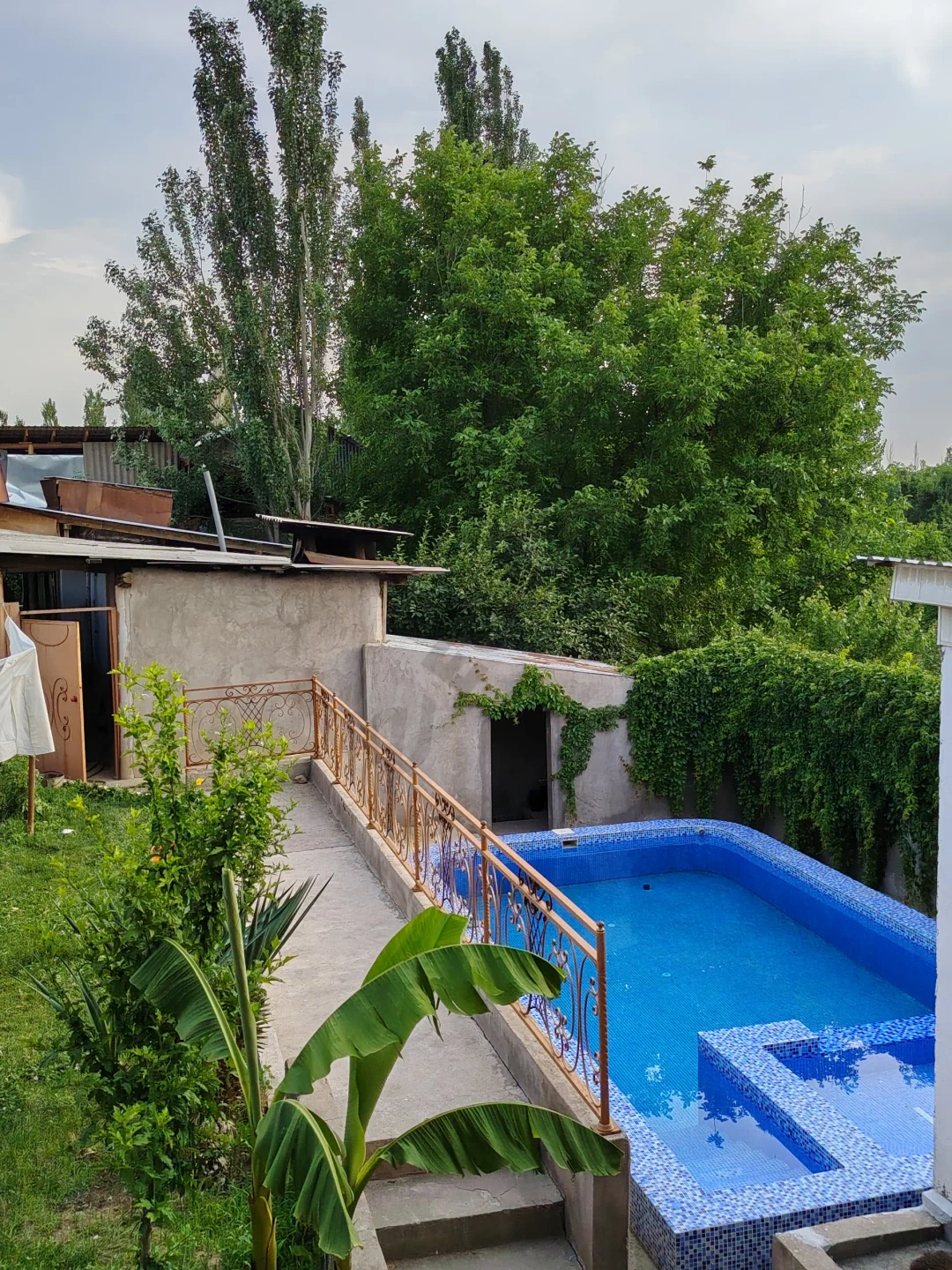 Dacha roxat - Cover Photo