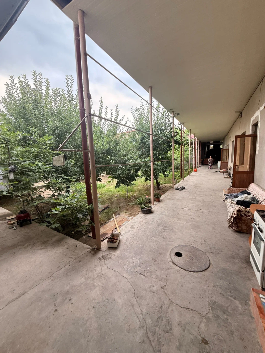 Image 6