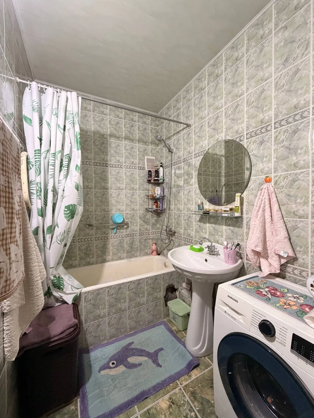 Image 5