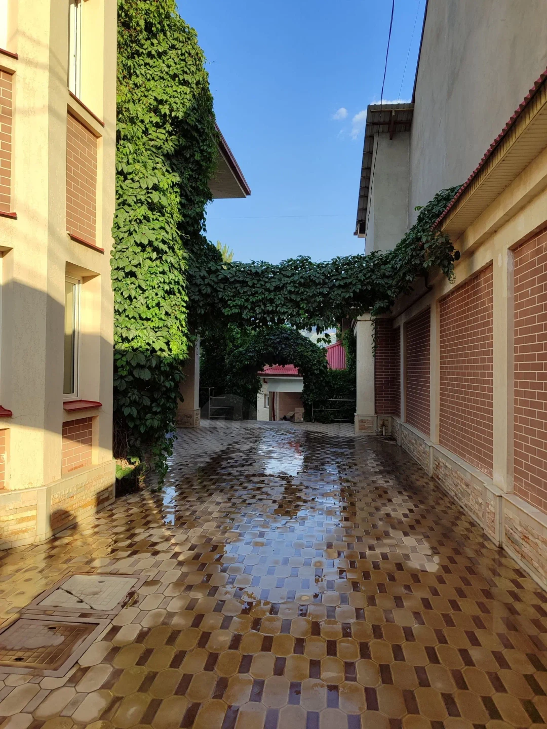 Image 5