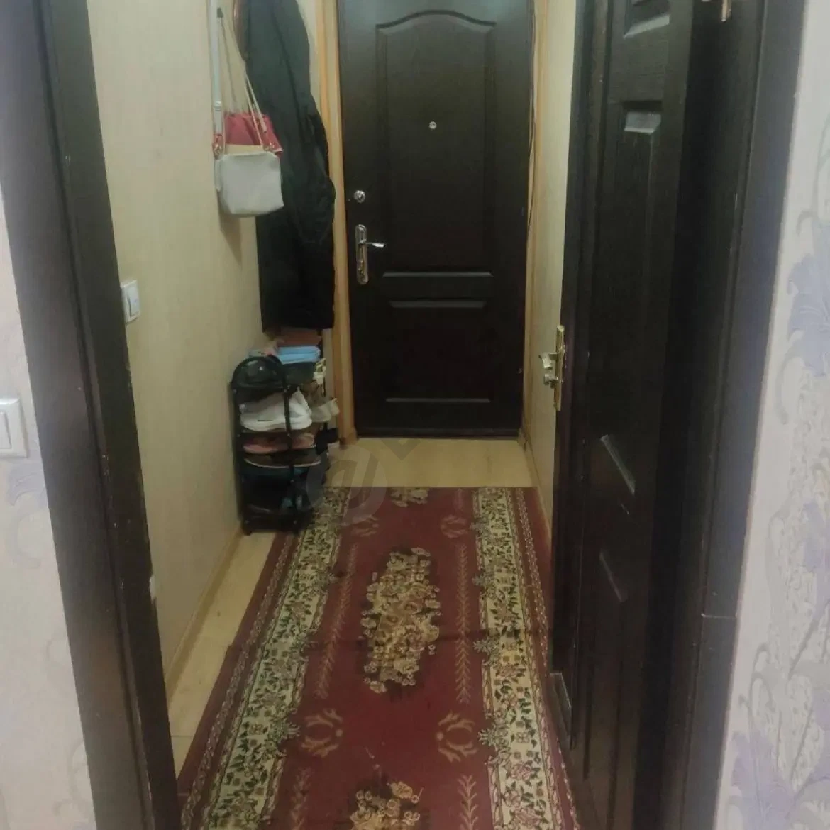 Image 6