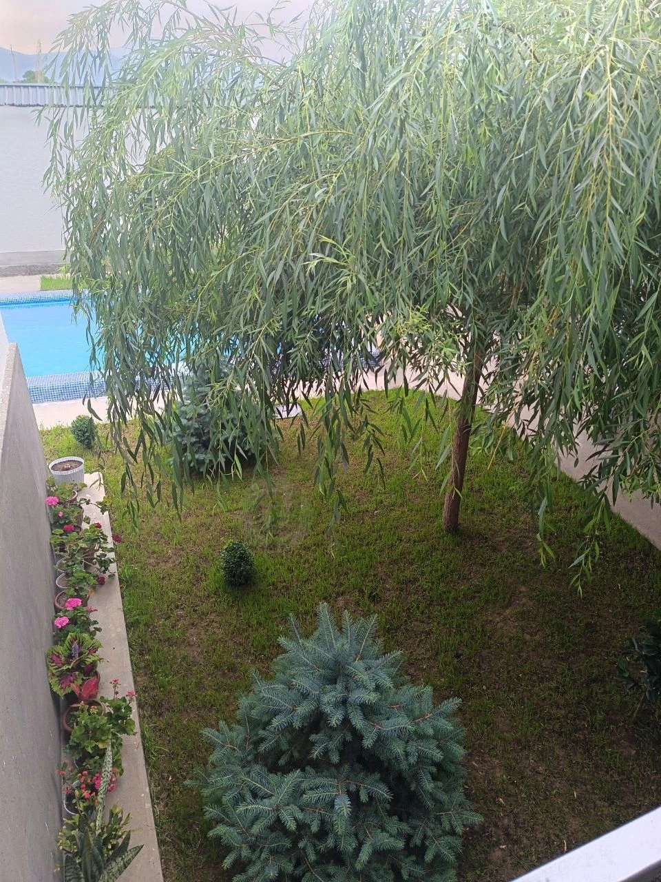 Image 6