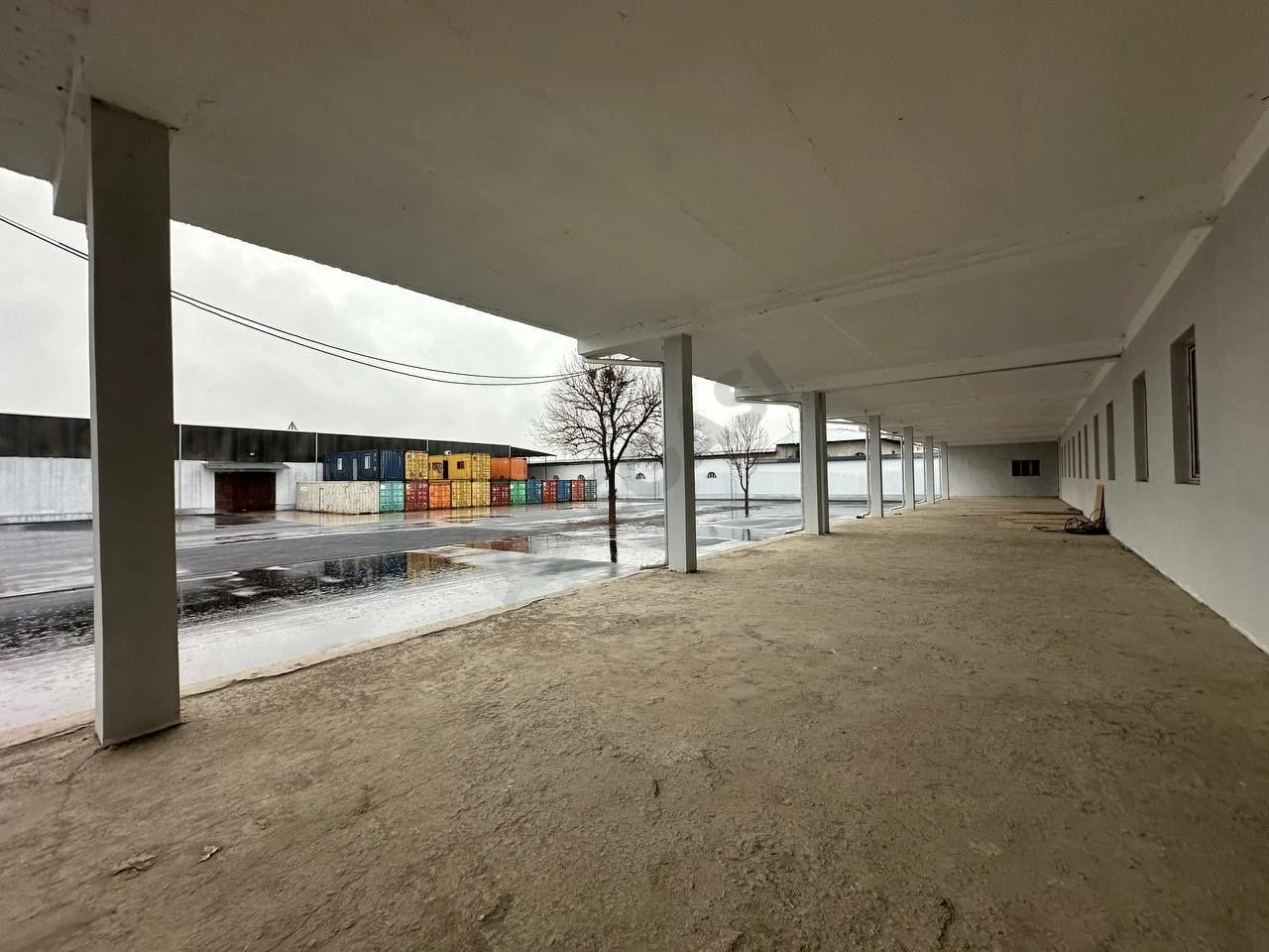 Image 6
