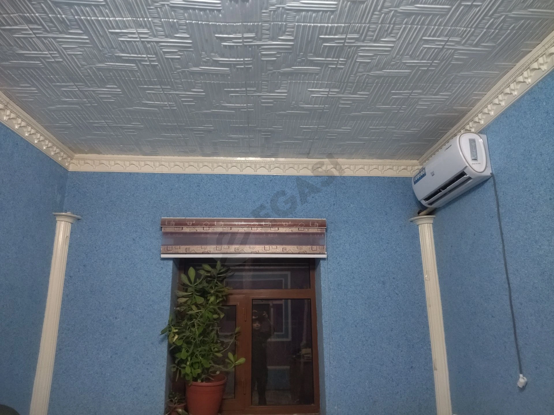 Image 8