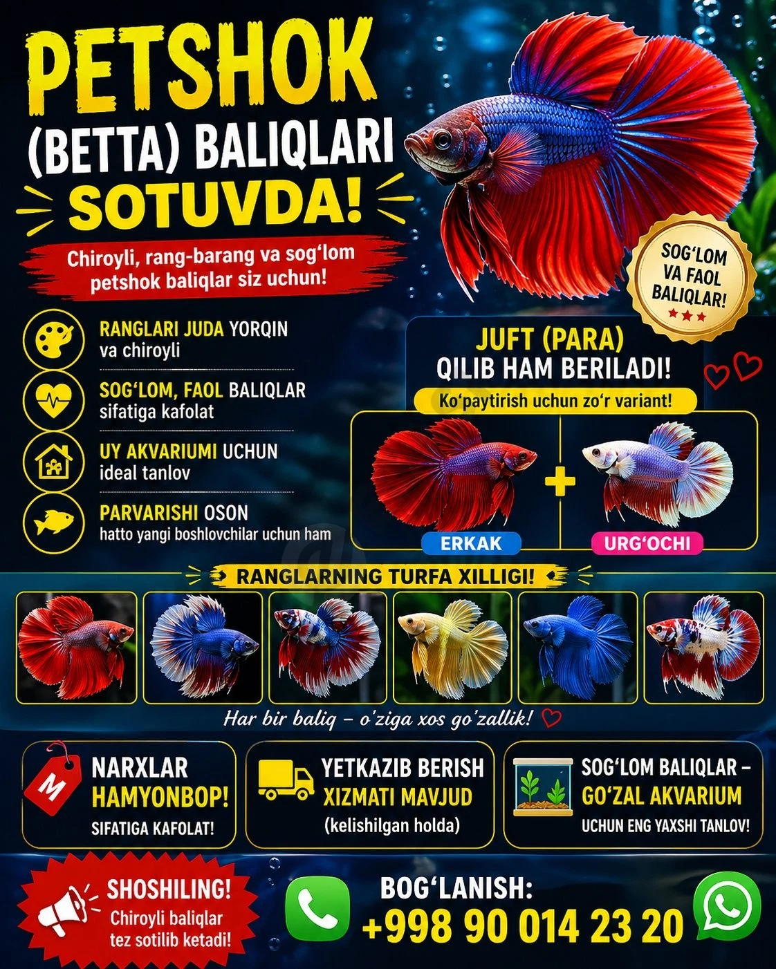 Advertisement - Cover Photo