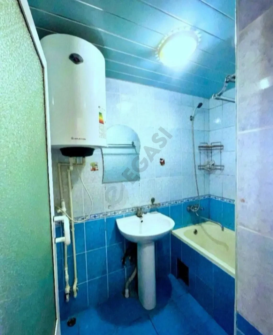 Image 5