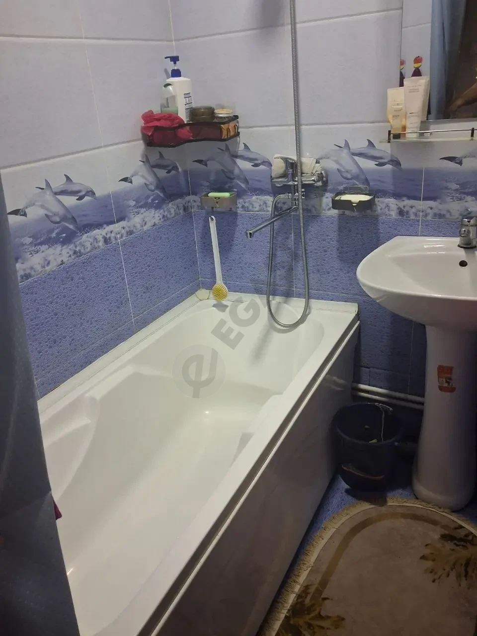 Image 8
