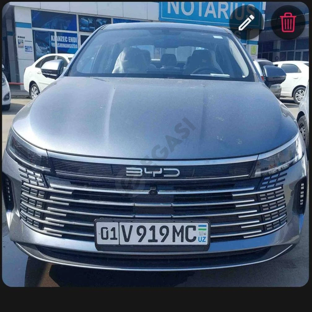 BYD Chazor, 2023 - Cover Photo
