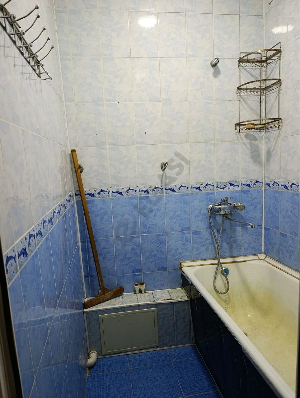 Image 8