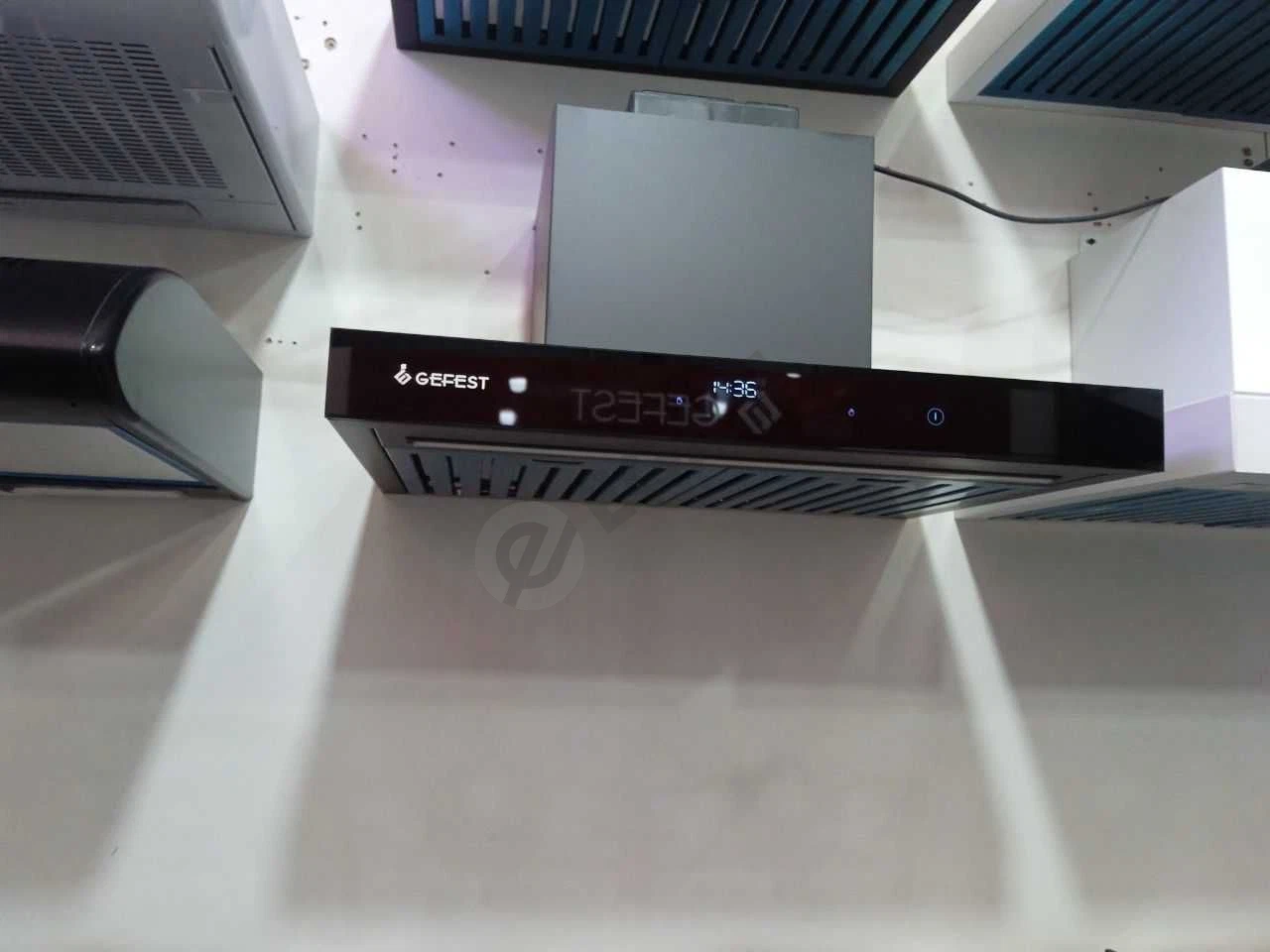 Image 5