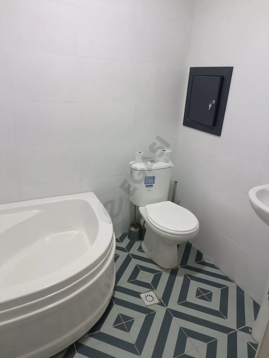 Image 8
