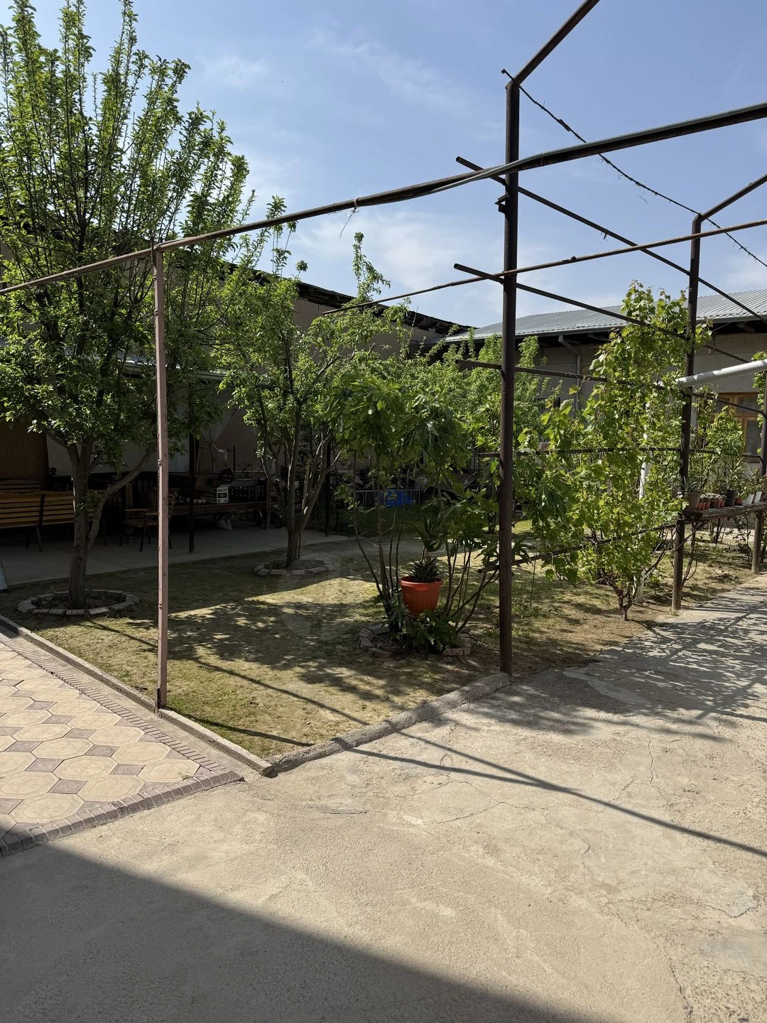 Image 6