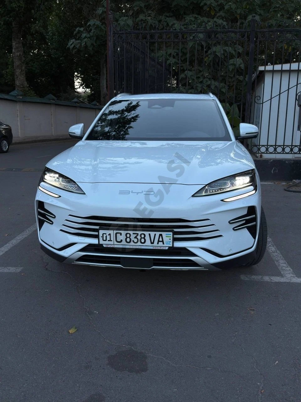 BYD Song Plus DM-i Champion Edition 110 km | 2024 - Cover Photo