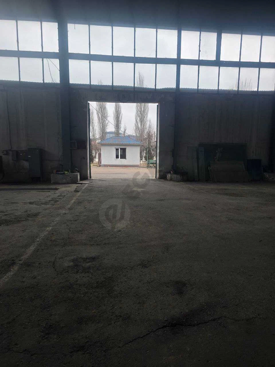 Image 4