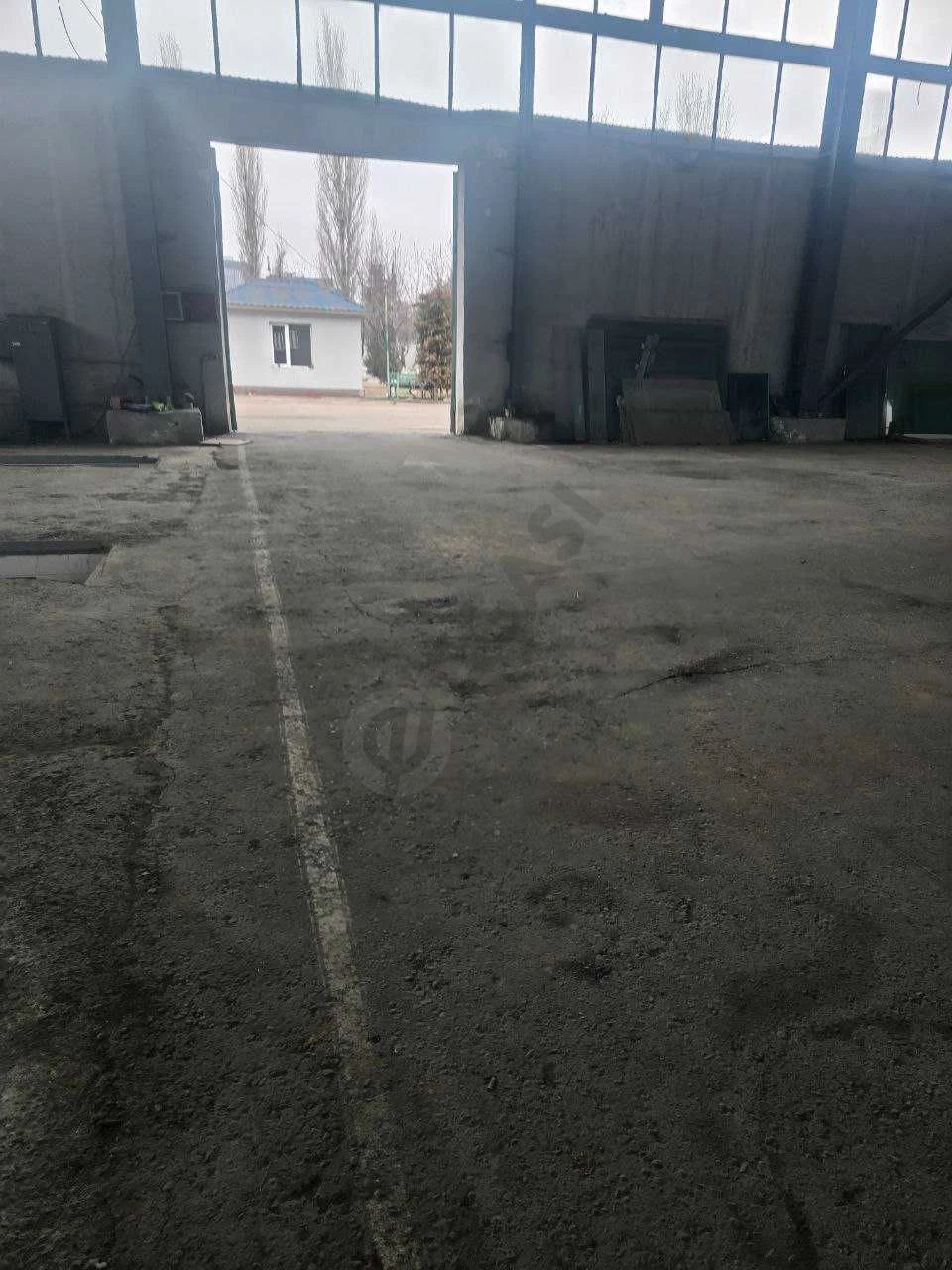 Image 5