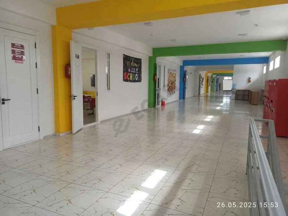 Image 6