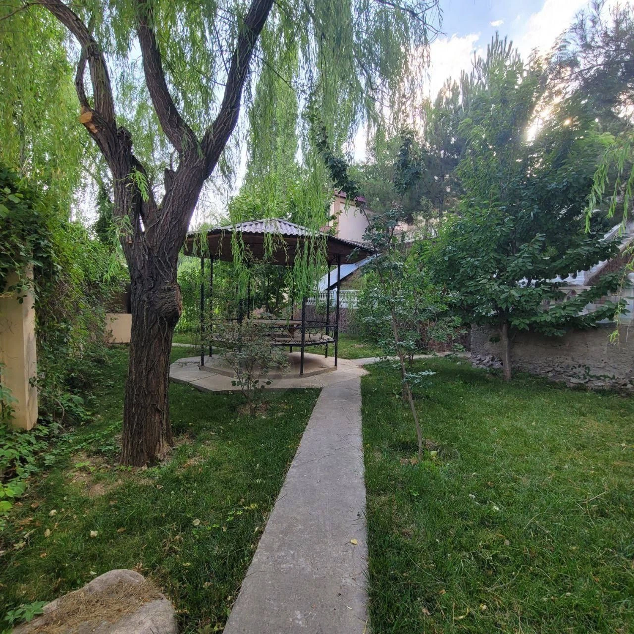 Image 11