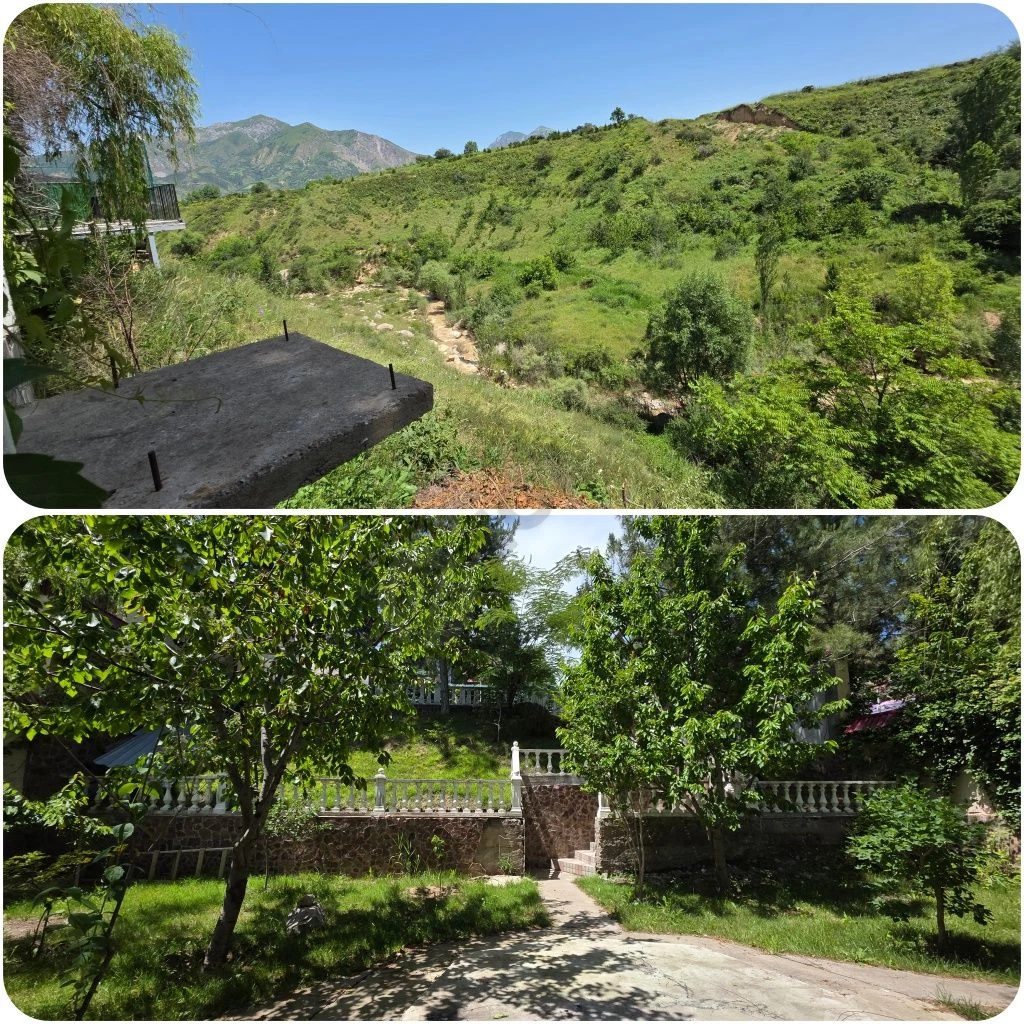 Image 12