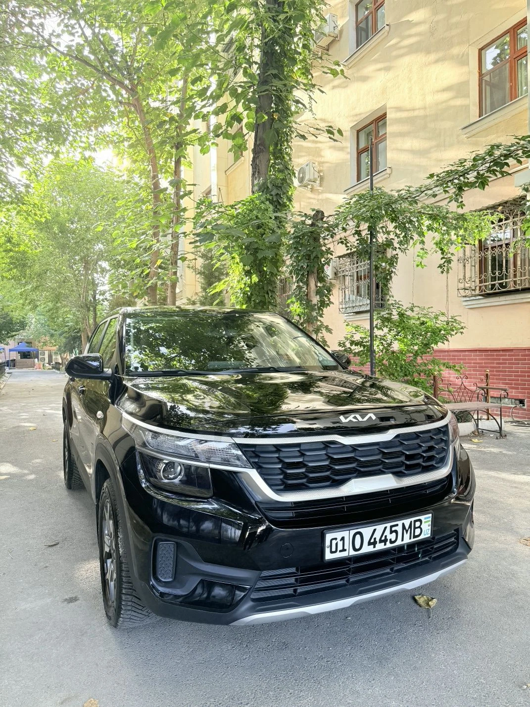 Image 2