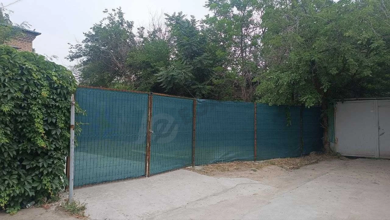 Image 10
