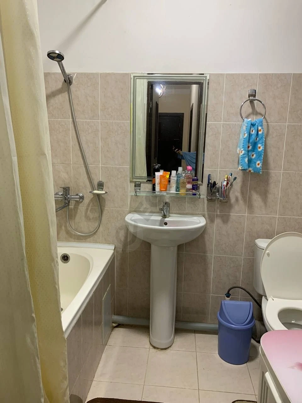 Image 6