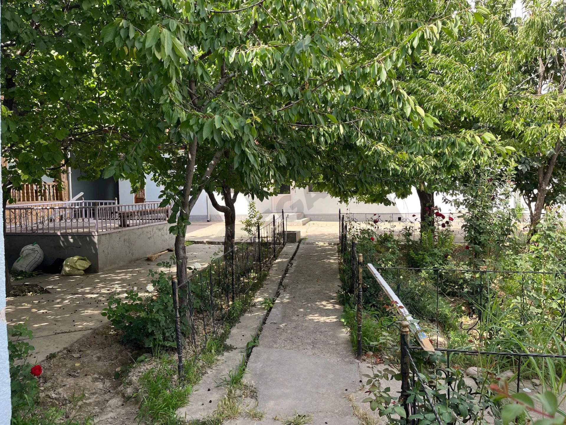 Image 4