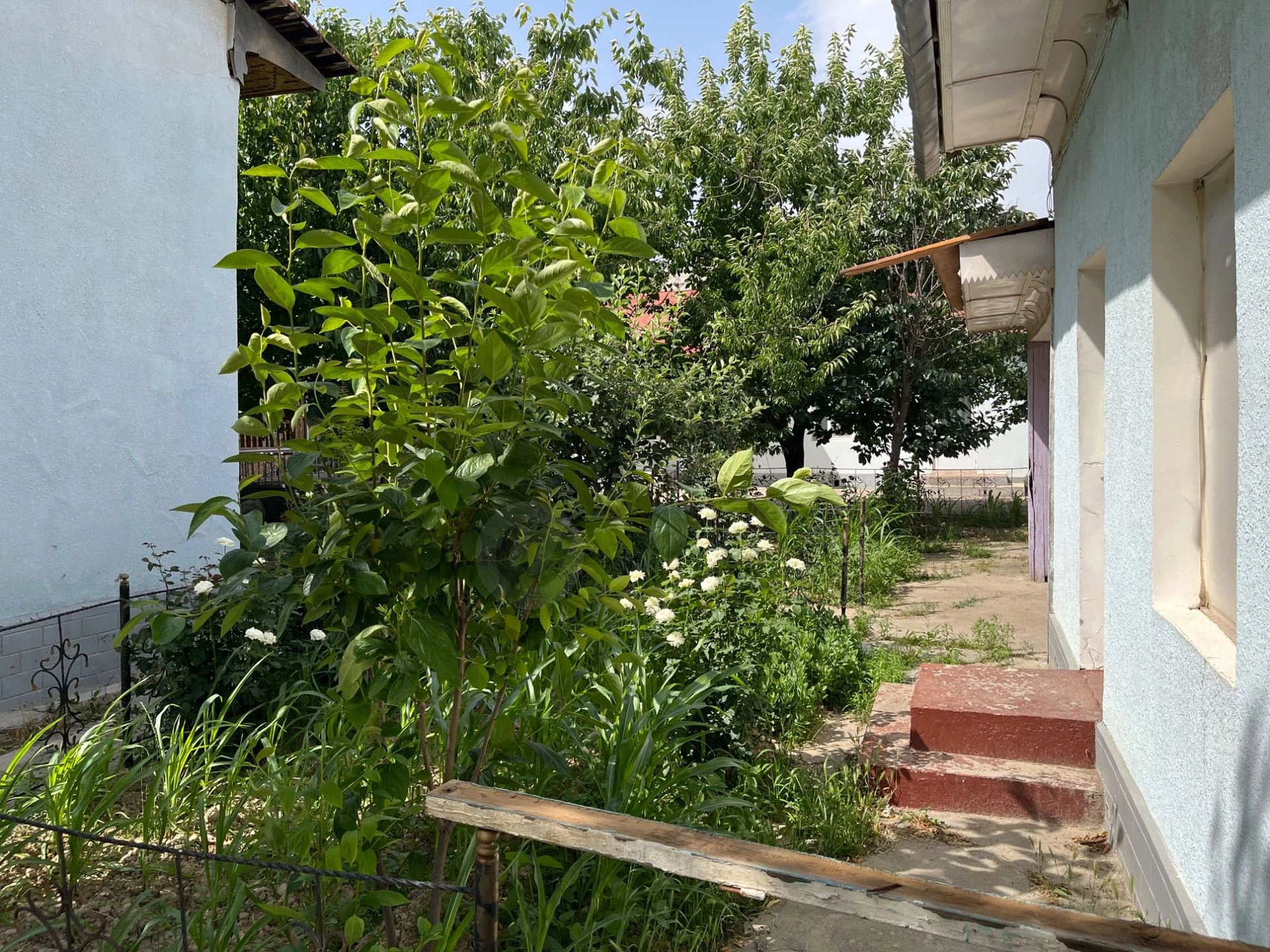 Image 6