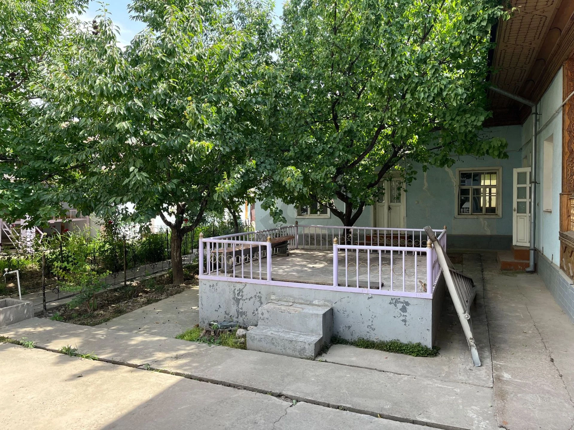 Image 8