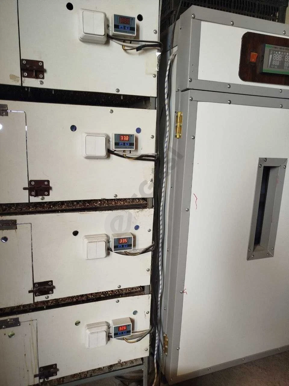 Image 5