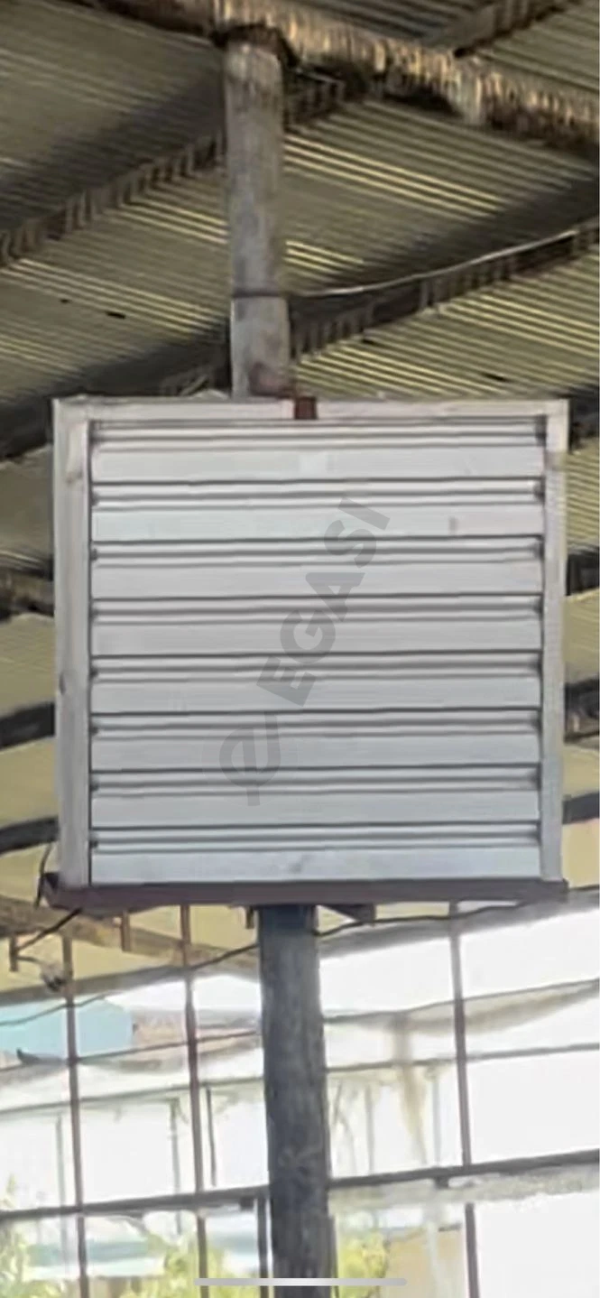 Advertisement - Cover Photo