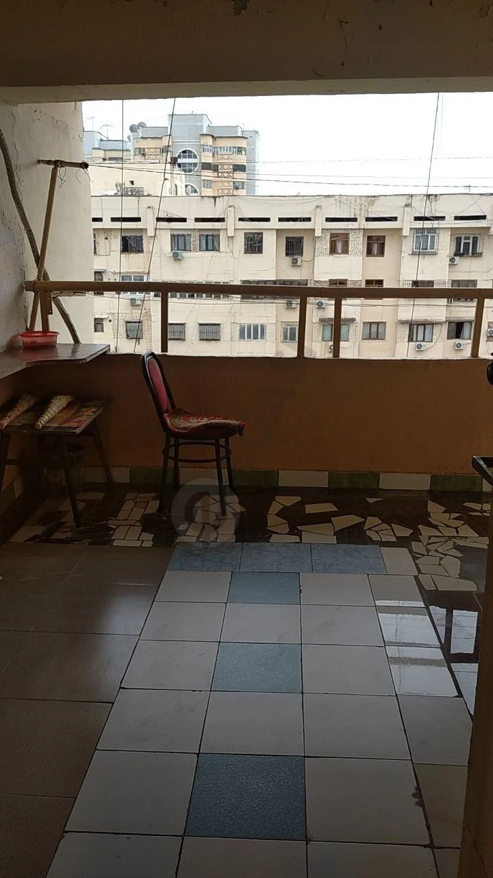 Image 8