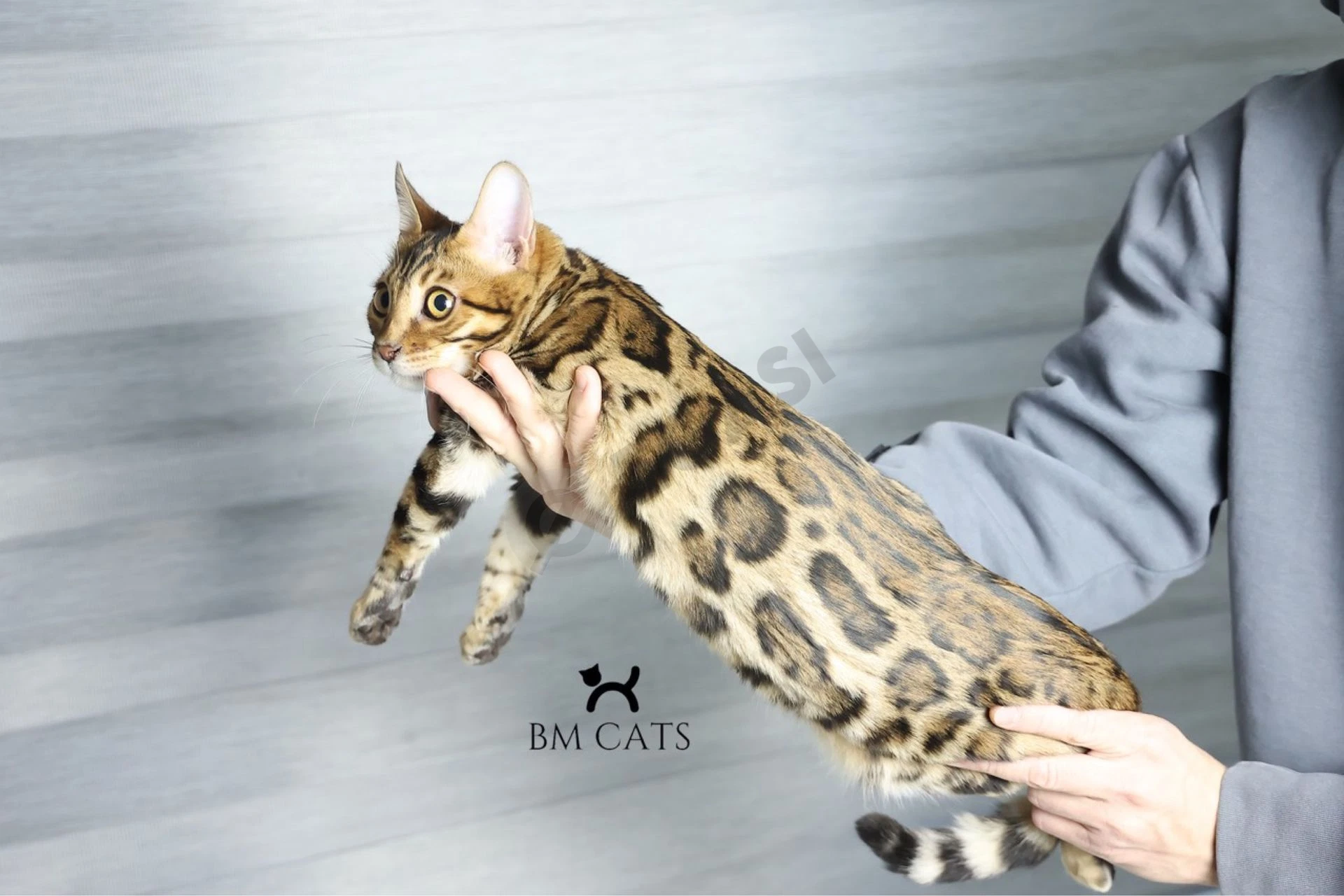 Advertisement - Cover Photo