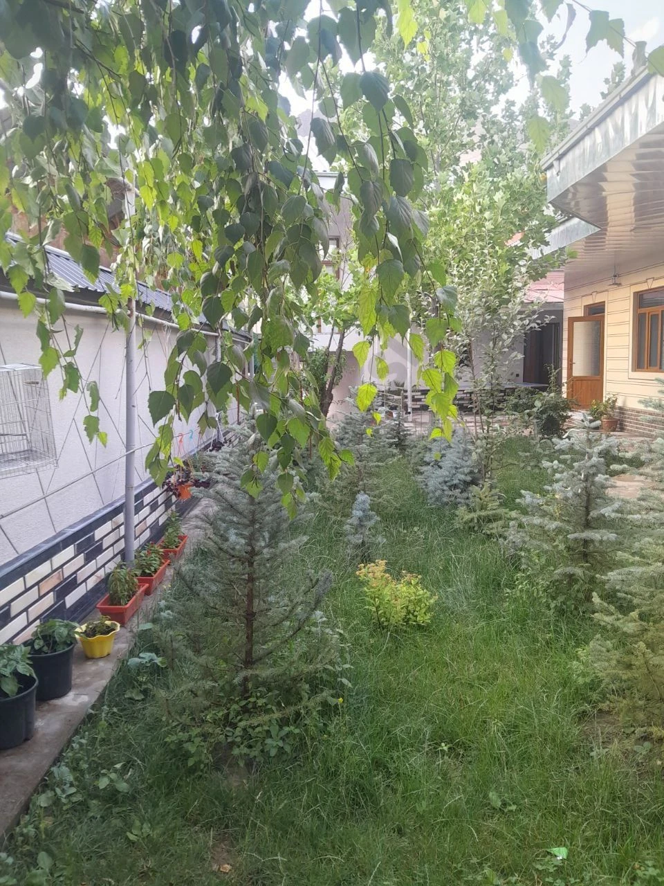 Image 12