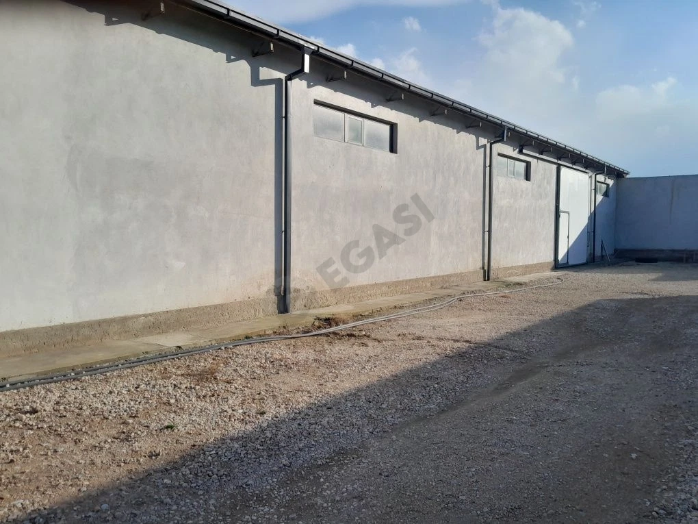 Image 5