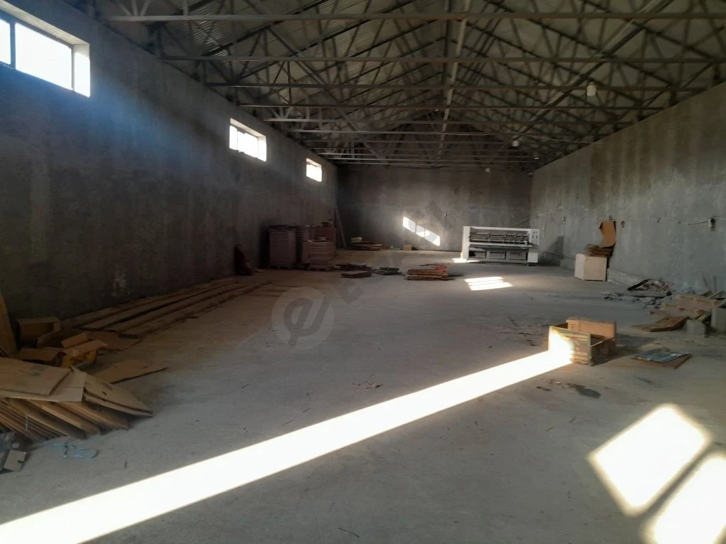 Image 6